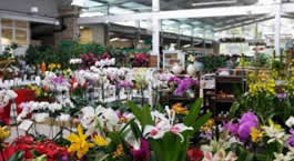 Espaço Primavera Garden