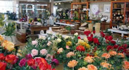 Primavera Garden