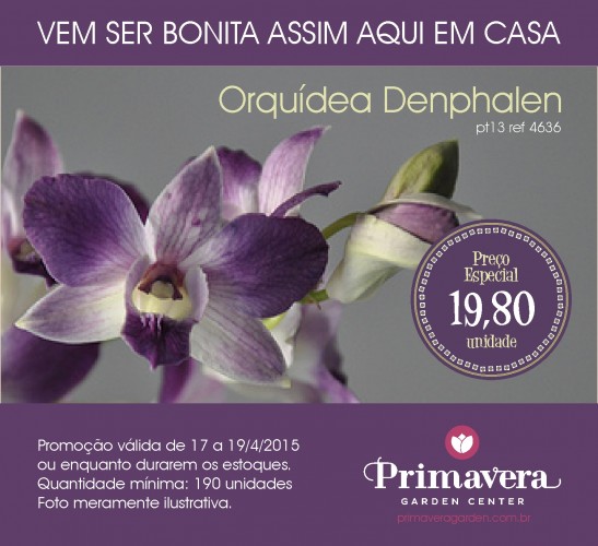 Primavera Garden: promoção orquidea denphalen abril 2015_2
